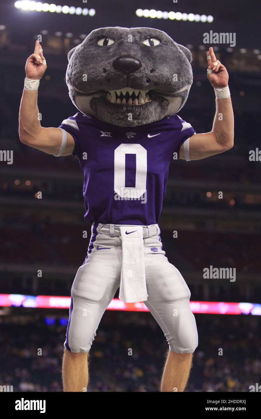 La mascotte dei Wildcats del Kansas state fa il tifo sulla folla dopo un tocco contro le Tigers di LSU durante il Bowl del Texas di TaxAct, martedì 4 gennaio 2022, a Hous Foto Stock