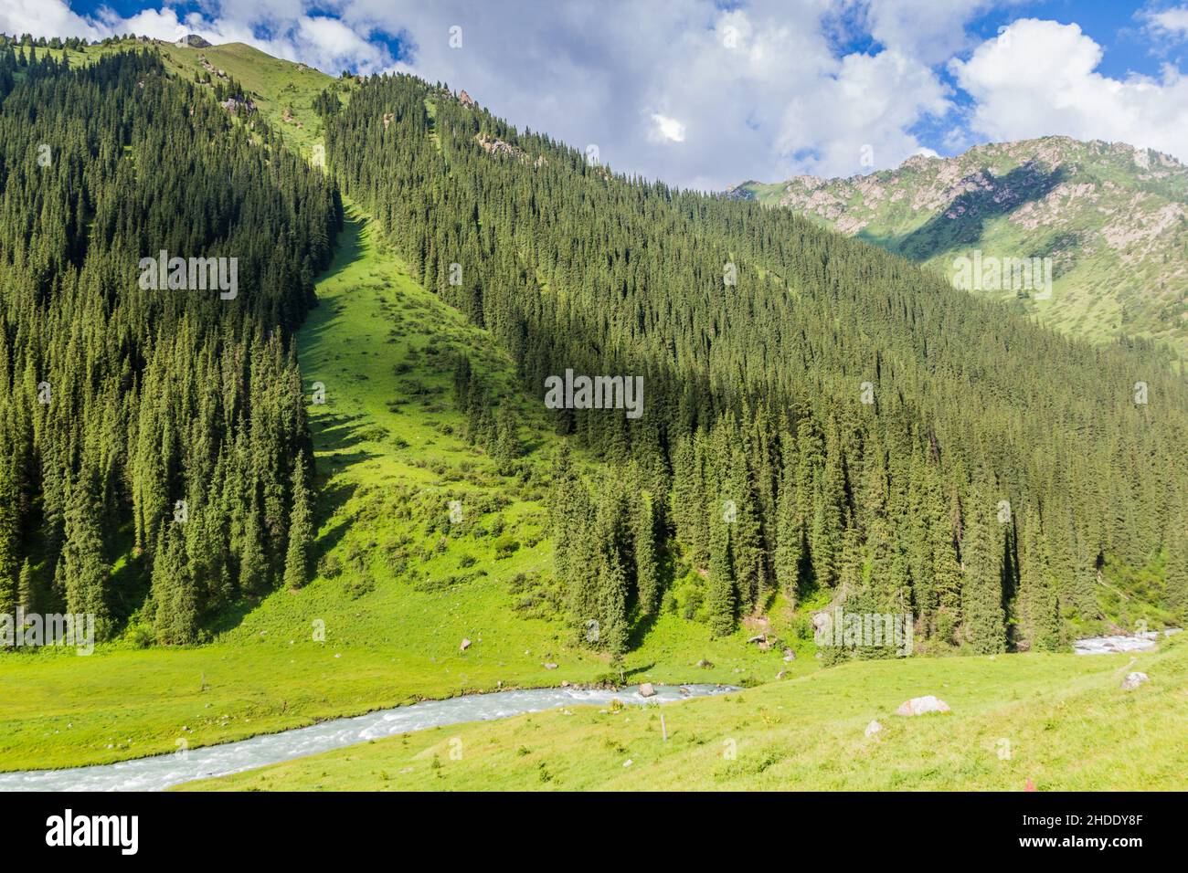 Valle di Arashan nella catena montuosa di Terskey Alatau, Kirghizistan Foto Stock