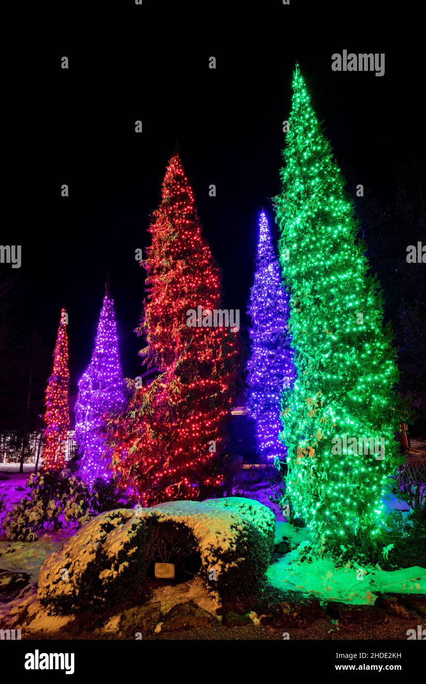 Luci di Natale colorate Display sul Village Green, Cassieri, Carolina del Nord, Stati Uniti Foto Stock