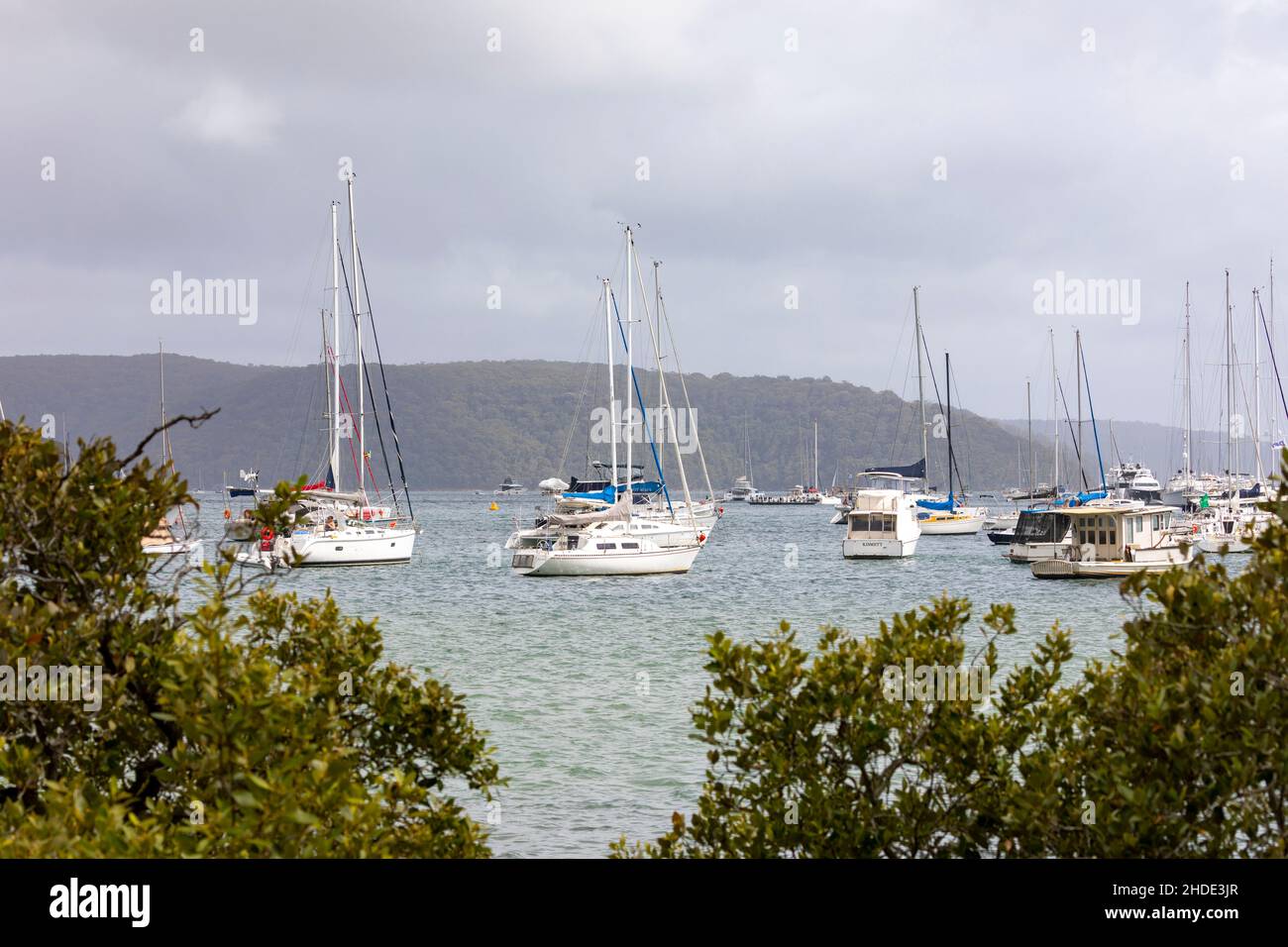 Barche e yacht ormeggiati a Pittwater nel nord di Sydney con alberi di mangrovie in primo piano, Sydney, Australia Foto Stock
