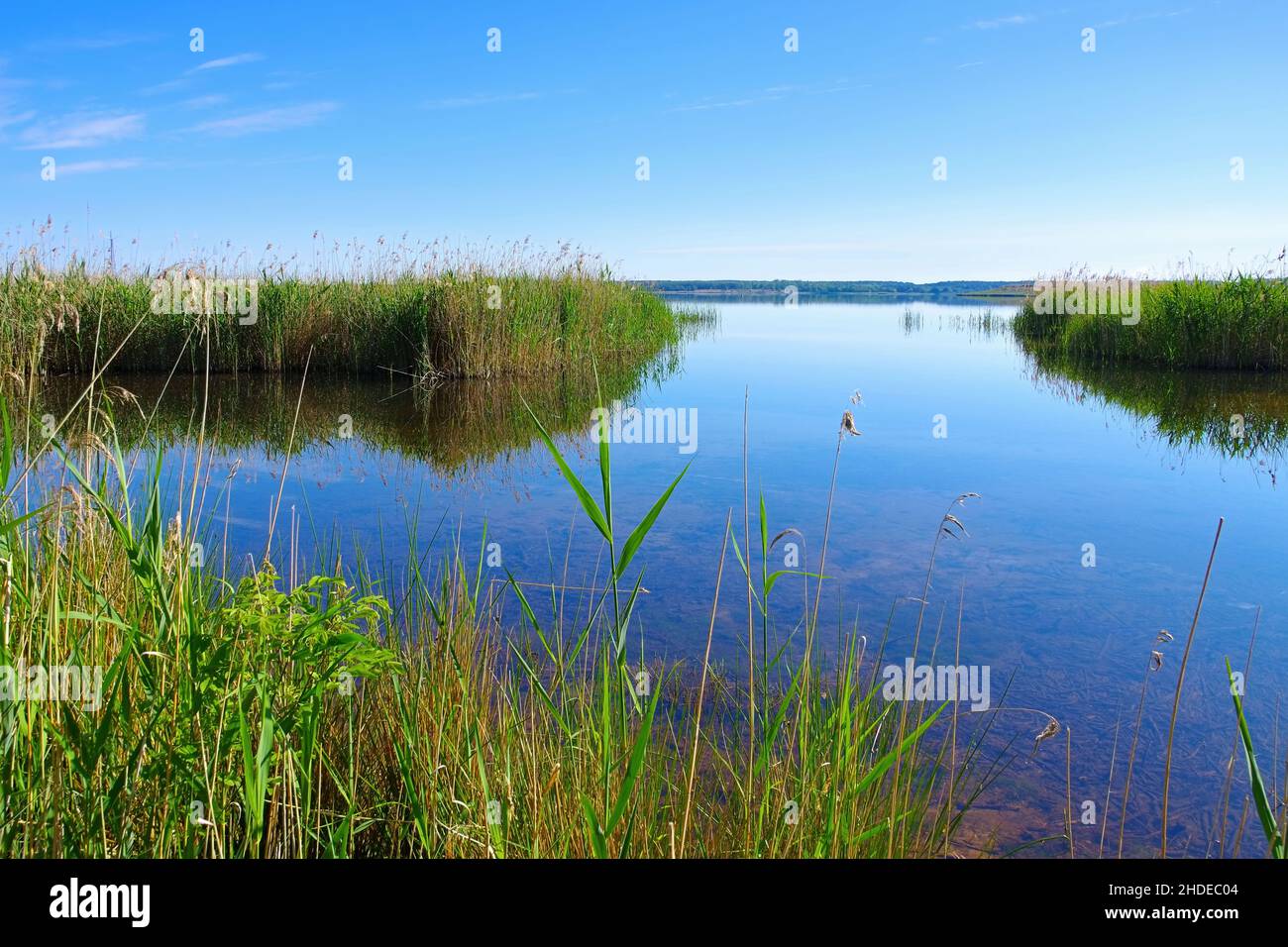 Graebendorfer Lago nel distretto dei laghi di Lusatian in una giornata di sole, in Germania Foto Stock