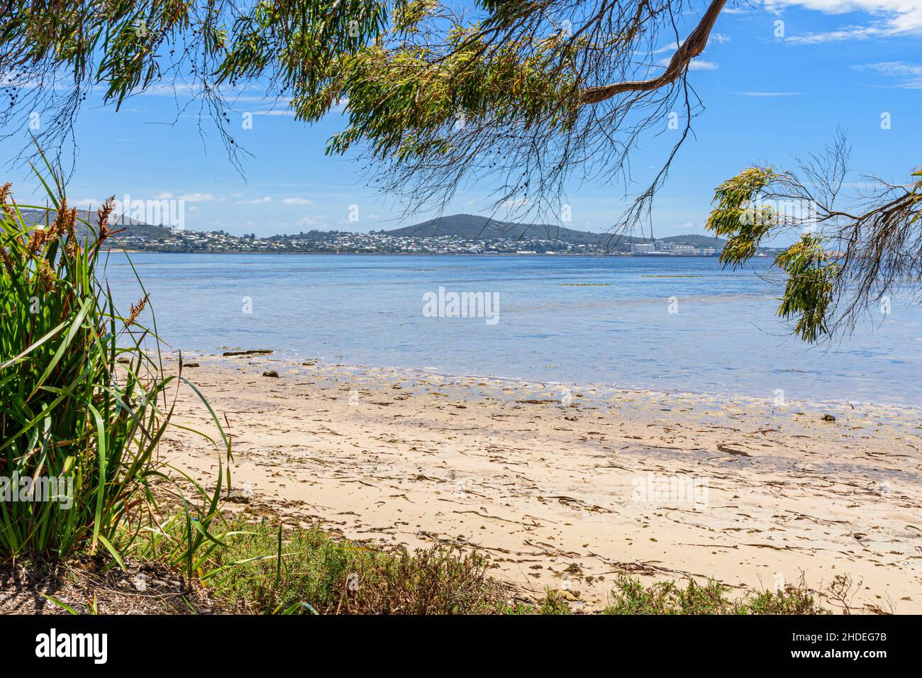 Guardando attraverso il Princess Royal Harbour verso la cittadina collinare e il porto di Albany, Australia Occidentale, Australia Foto Stock