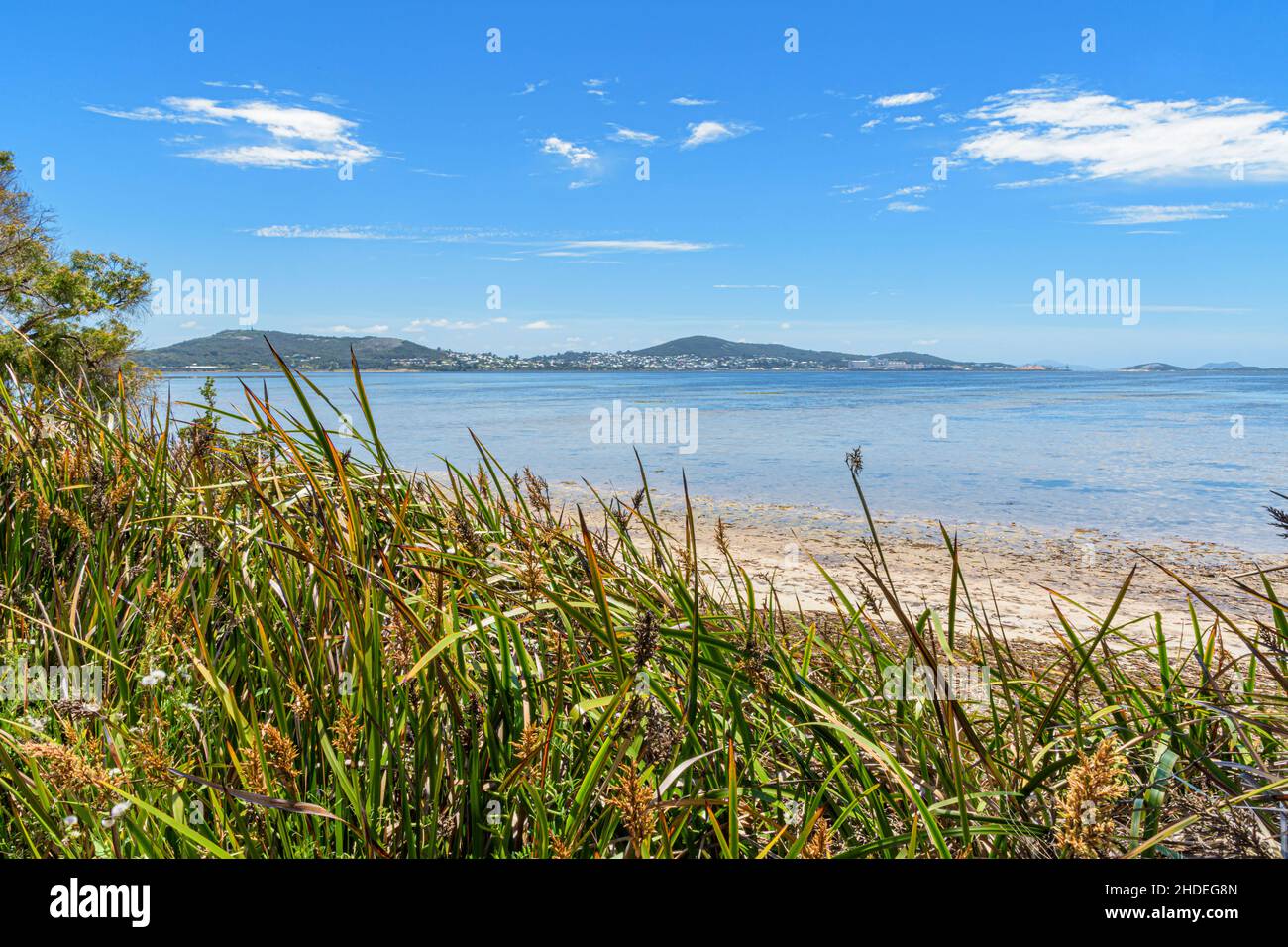 Guardando attraverso il Princess Royal Harbour verso la cittadina collinare e il porto di Albany, Australia Occidentale, Australia Foto Stock
