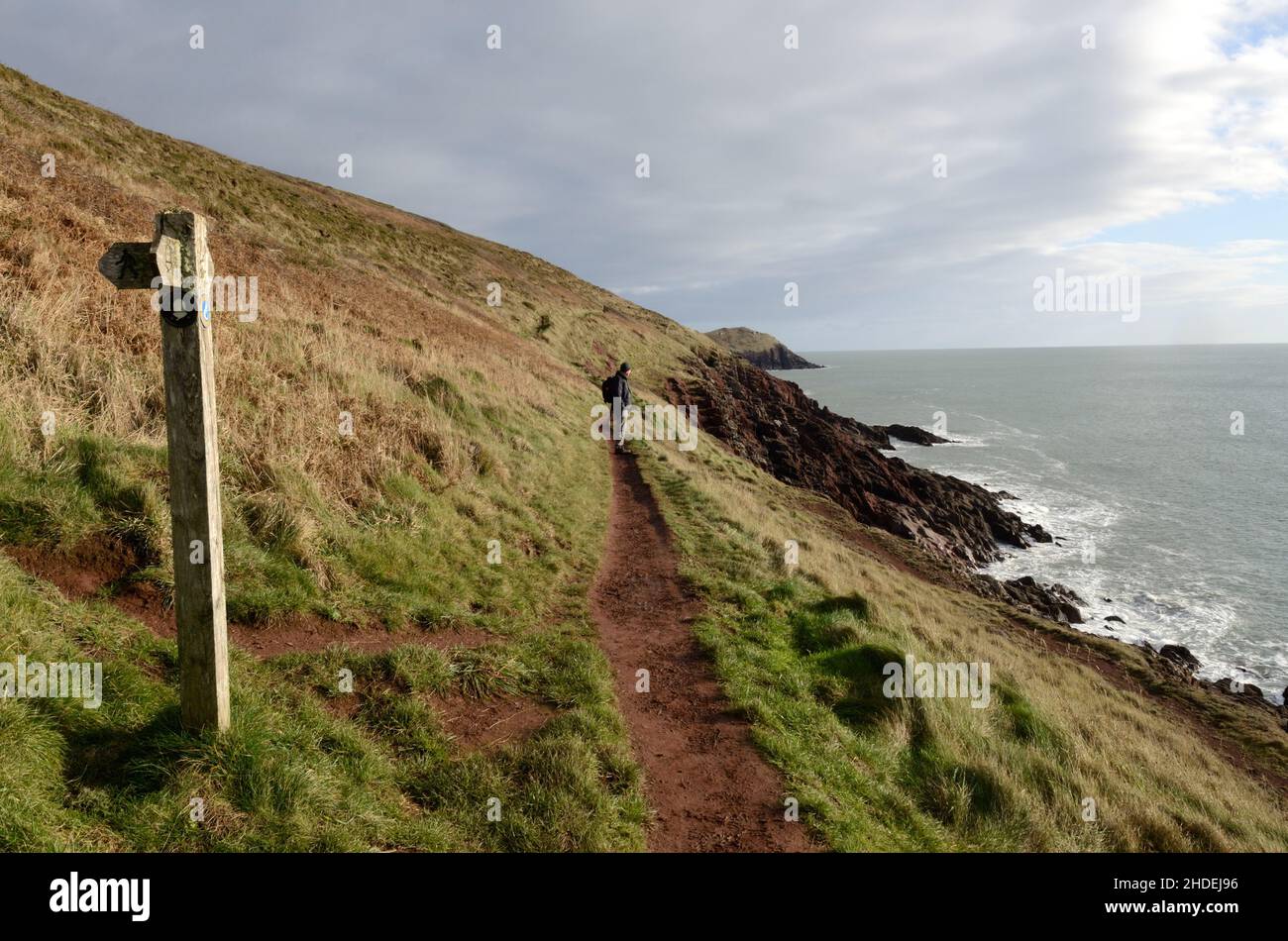 Una passeggiata invernale sul Pembrokeshire Coast path vicino Manorbier walesCcymru UK Foto Stock