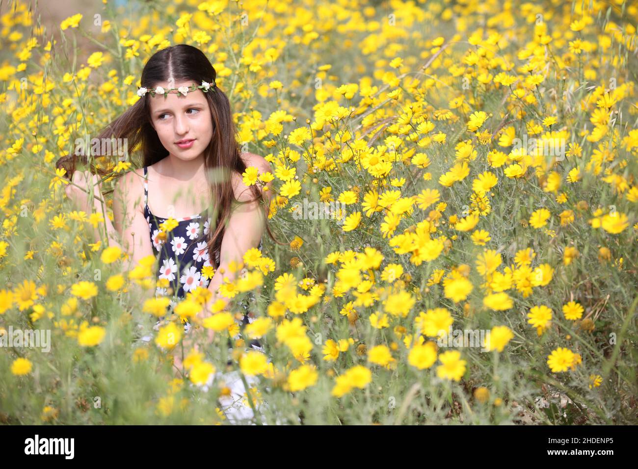 Pensive giovane ragazza di 11 anni in abito floreale estivo in un campo di margherite selvatiche gialle Foto Stock