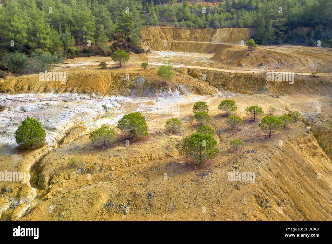 Restauro di vecchie miniere di rame opencast. Giovani pini che crescono in  un'antica area mineraria vicino a Limni, Cipro Foto stock - Alamy