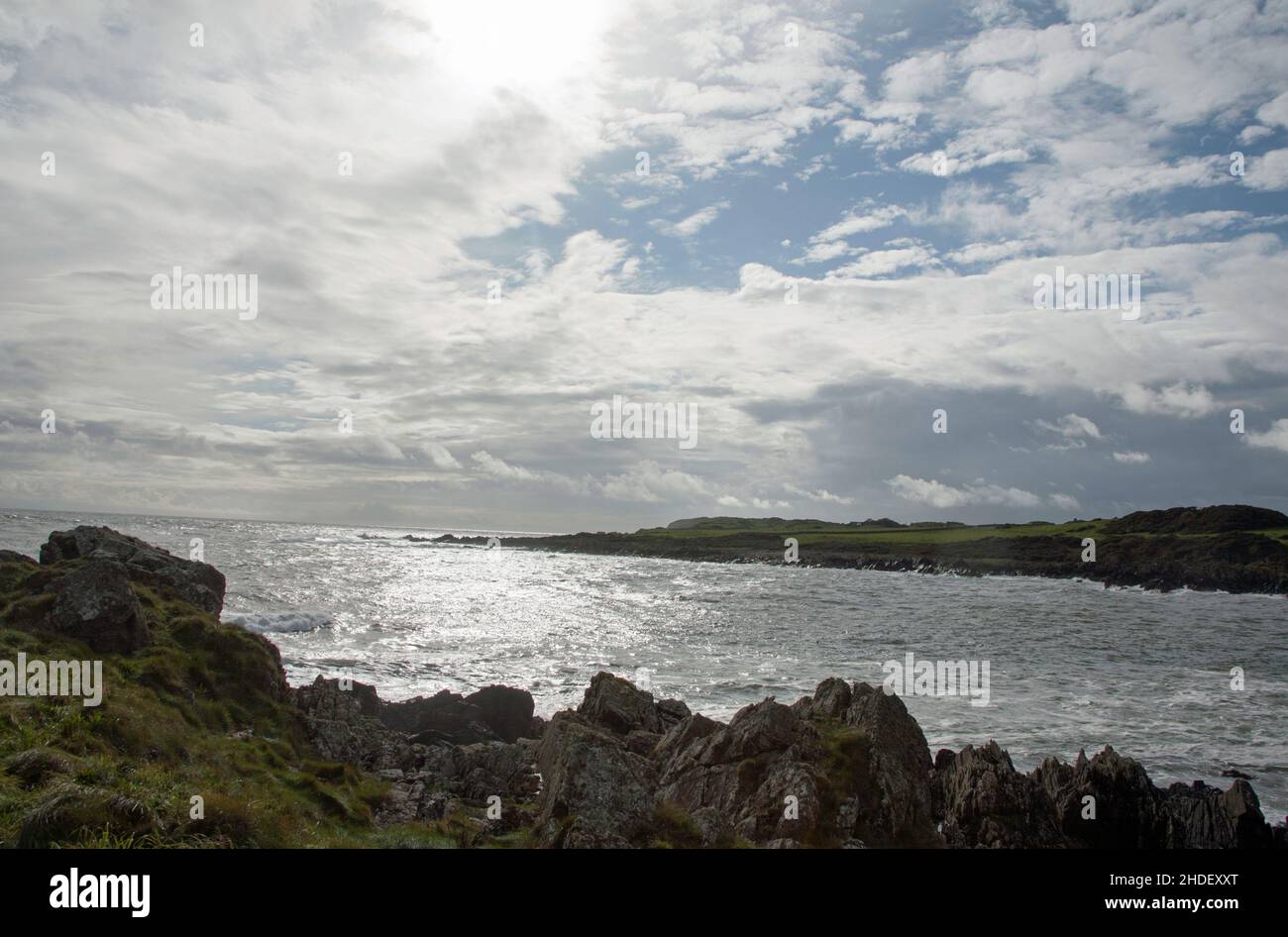 Isola di Whithorn Bay Dumfries e Galloway Scozia Foto Stock