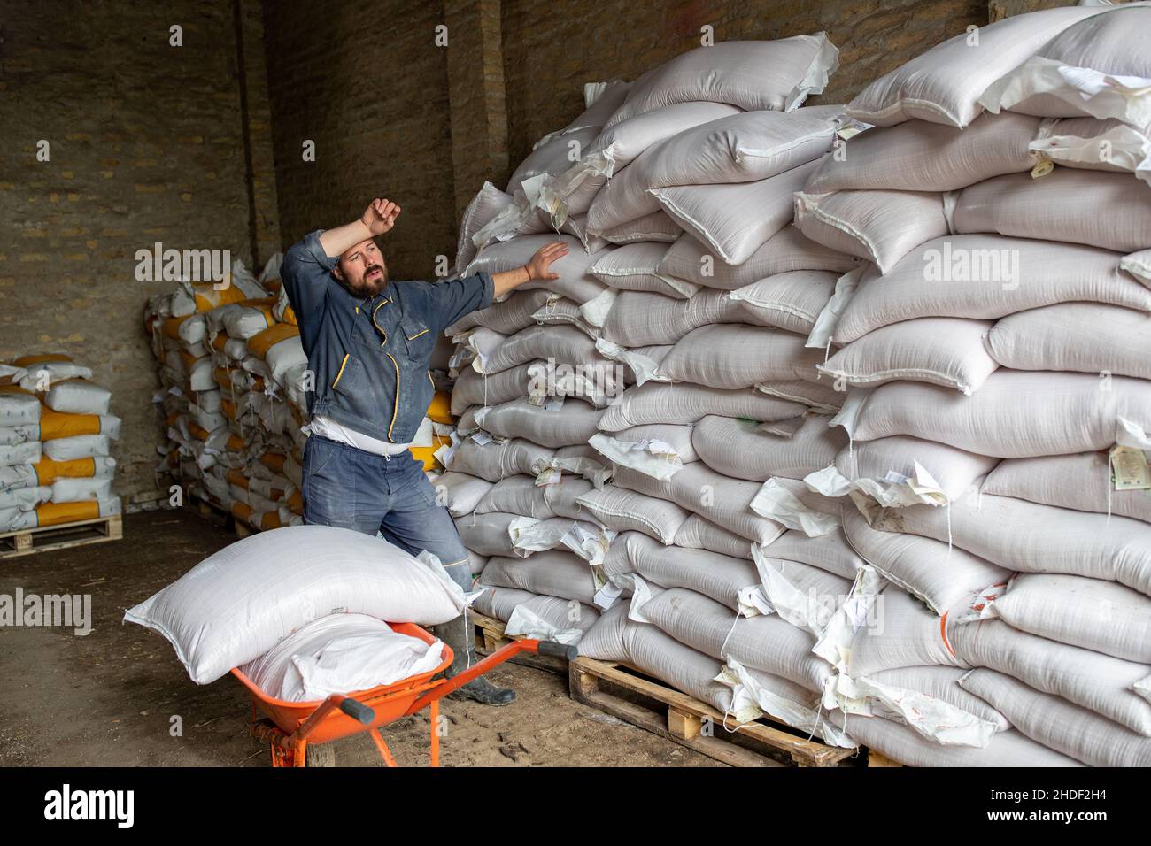 Lavoratore manuale stanco che riposa su una rottura nel magazzino di distribuzione di cibo di bestiame. Foto Stock