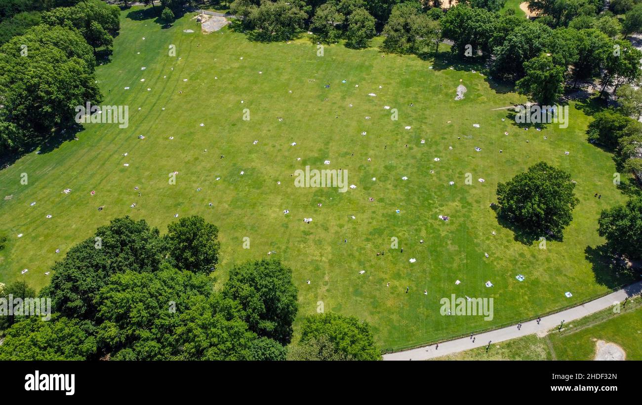 Sheep Meadow, Central Park, Manhattan, New York City Foto Stock