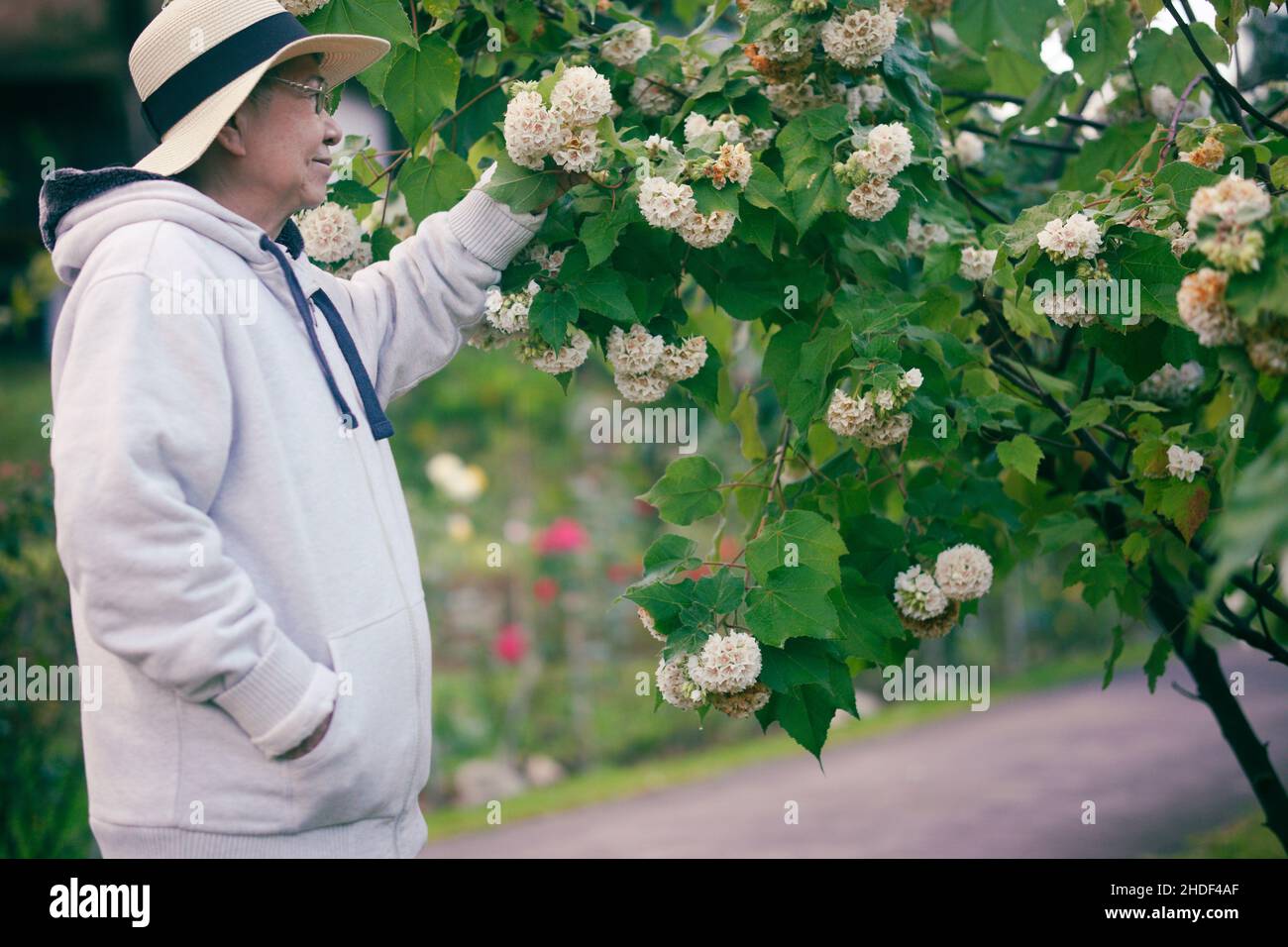 donna anziana che si rilassa nel giardino dei fiori Foto Stock