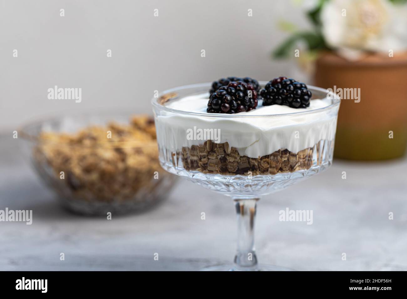 Dessert con yogurt, muesli fatti in casa e more fresche, serviti in vetro chiaro trendy con motivi geometrici e cucchiaio dorato, sfondo grigio. Sana colazione vegana o snack. Vista laterale, messa a fuoco selettiva, spazio di copia Foto Stock