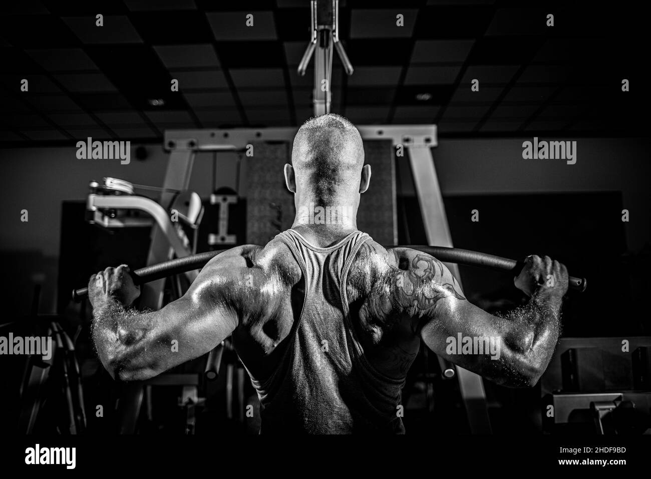 sollevamento pesi, body building, sport muscolari, bodybuilding,  bodybuilding, sport muscolare Foto stock - Alamy