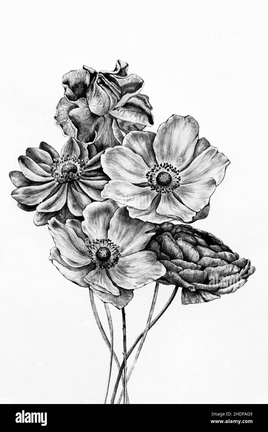 fiori, fiori, fiori valentain Foto Stock