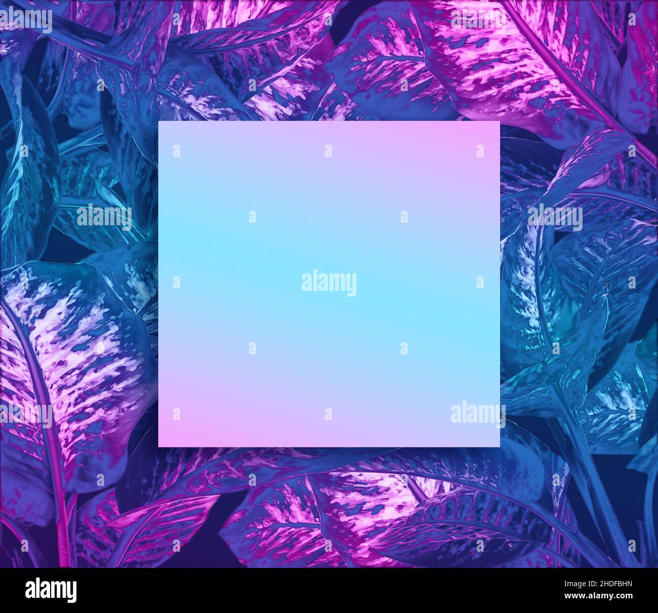 spazio di copia, blocco note, spazio di copia, blocchi note Foto Stock