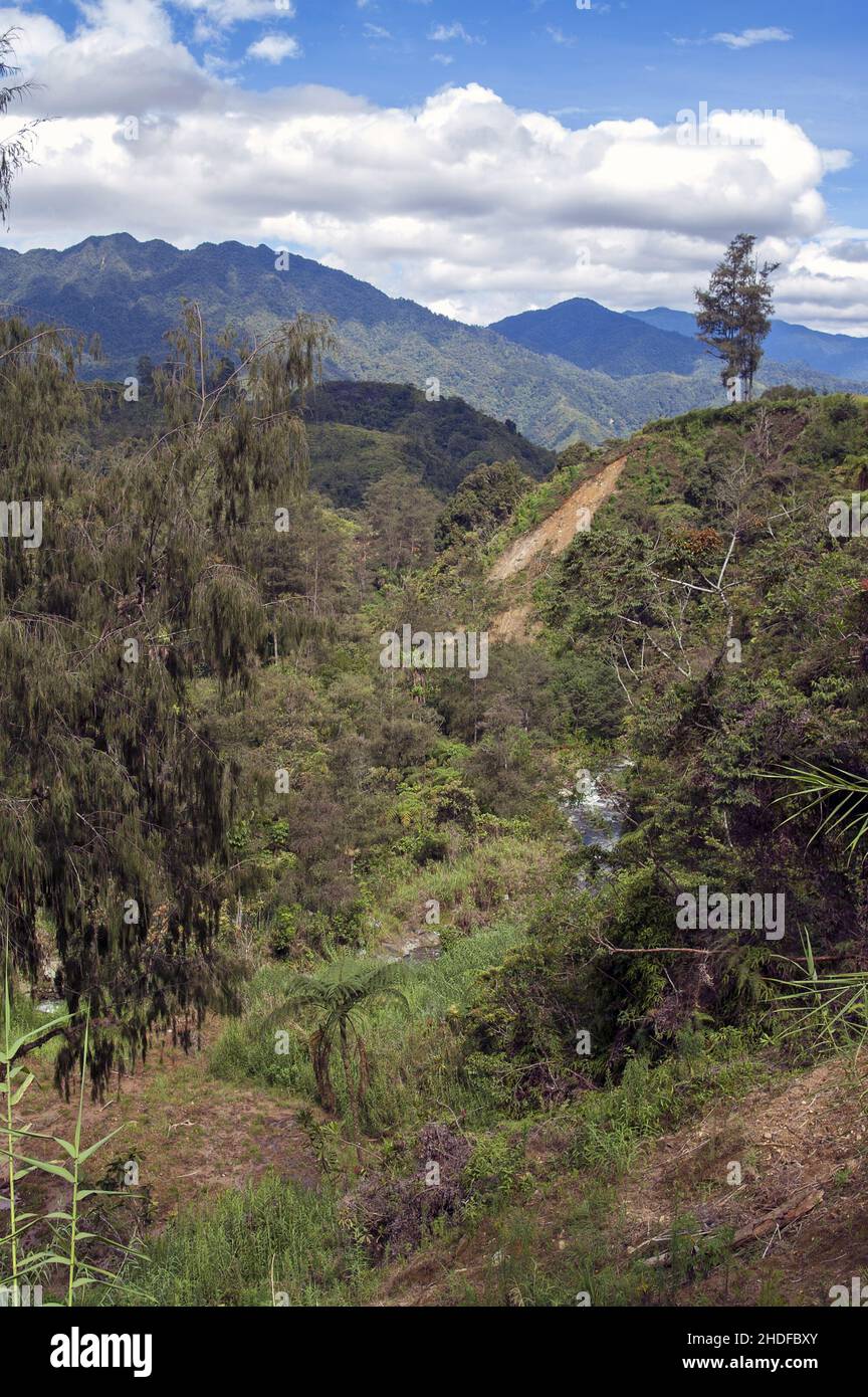 Papua Nuova Guinea; Highlands orientali; Goroka; Namta (Mefenga); paesaggio montano tipico nel Papua centrale; Typische Berglandschaft in Zentral-Papua Foto Stock