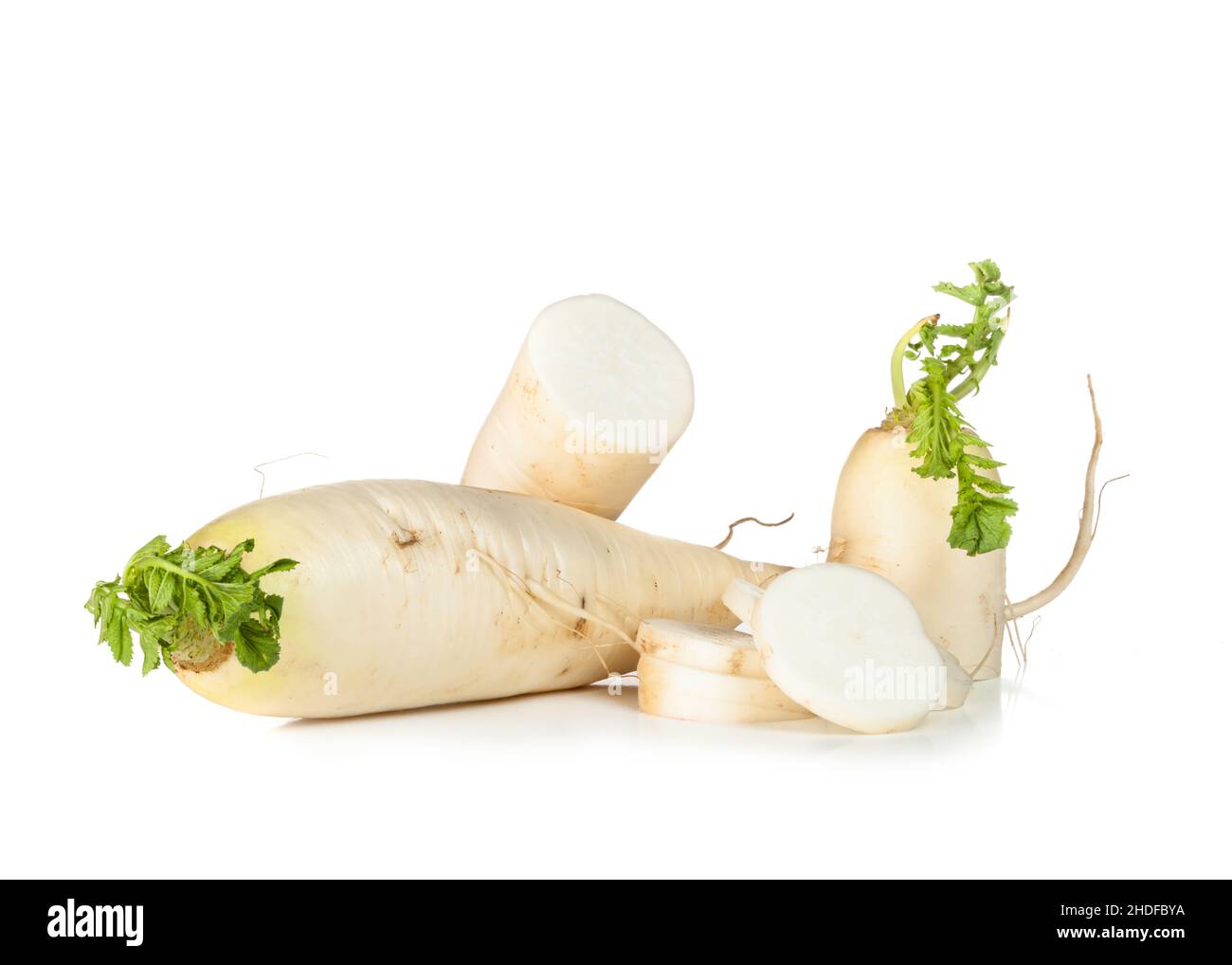 rafano, nero spagnolo rotondo, radianti Foto Stock