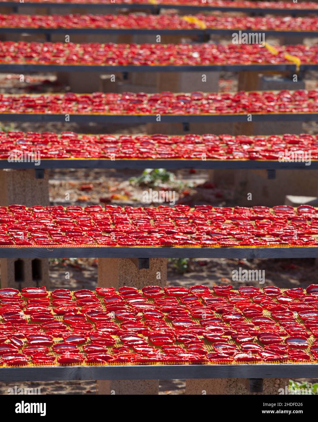 pomodori, pomodori secchi, pomodori, pomodori secchi Foto Stock