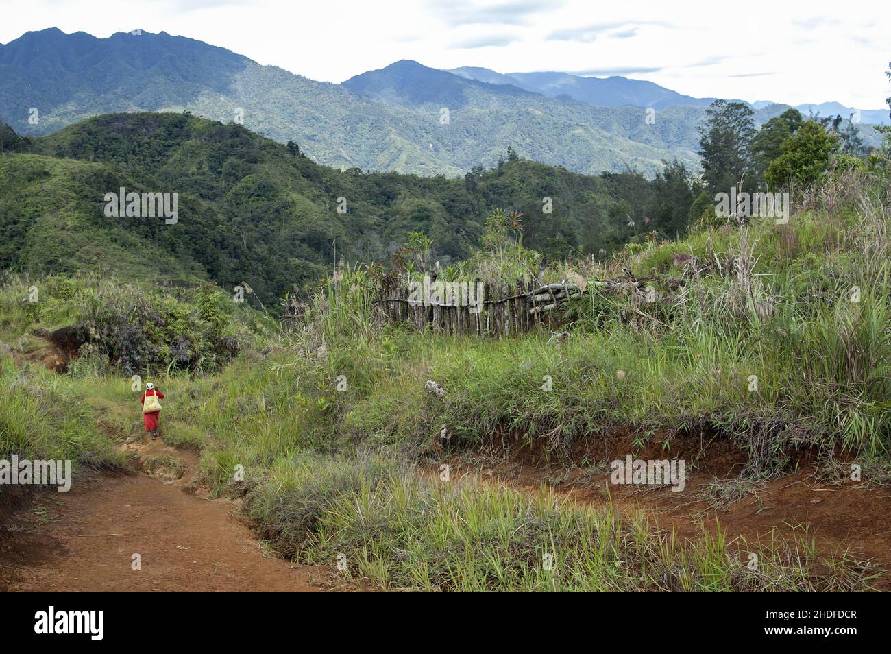 Papua Nuova Guinea; Highlands orientali; Goroka; Namta; Papuan donna su una strada sterrata in montagna. Papuanische Frau auf einem Schotterweg in den Bergen Foto Stock