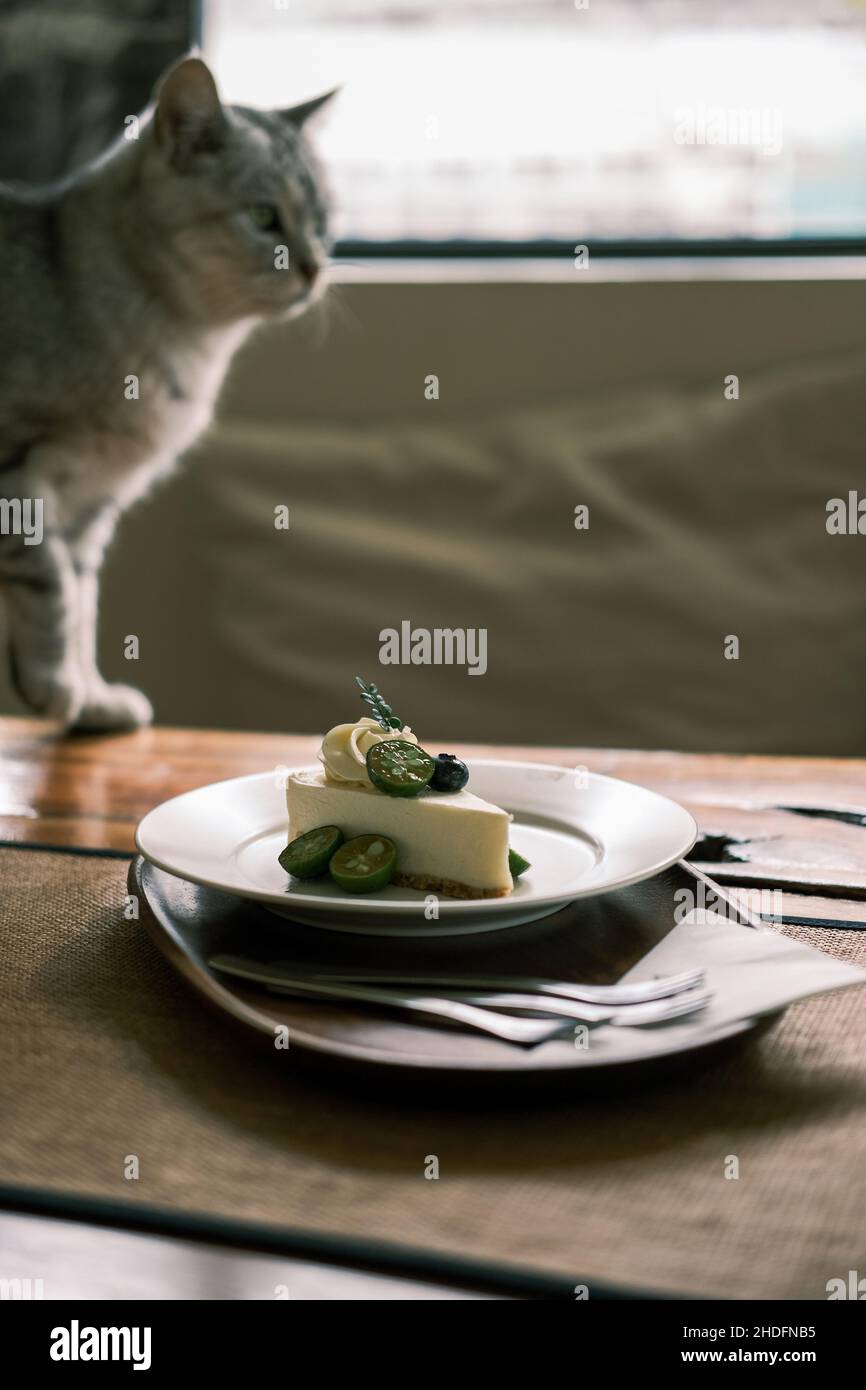 Una bella torta sul tavolo Foto Stock
