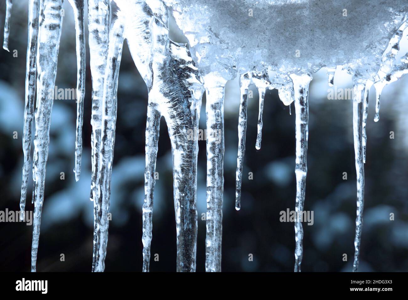 icicle, icicles Foto Stock