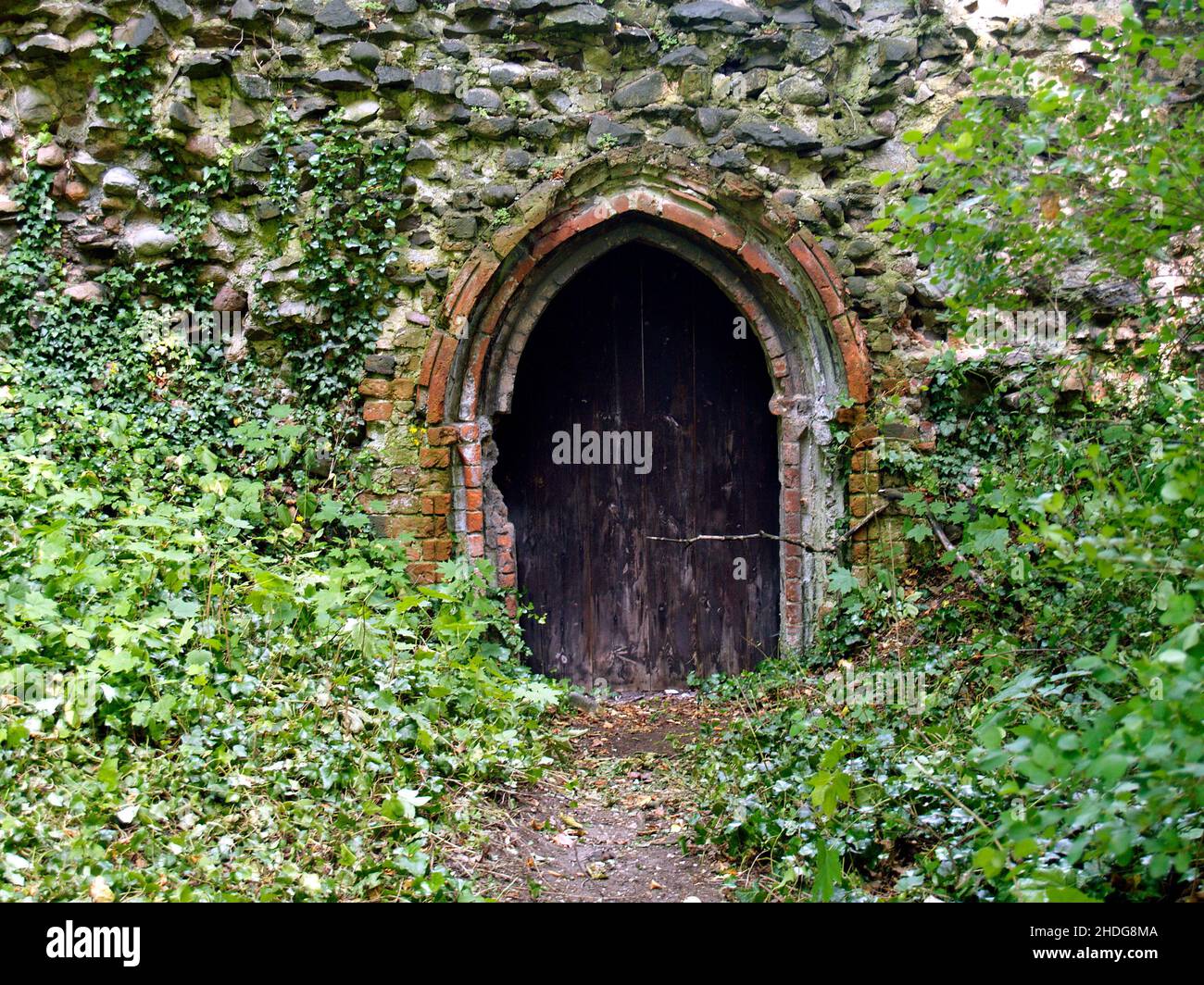 porta, porta di legno, sopravcresciuta, porte, porte di legno, iperringhiera Foto Stock