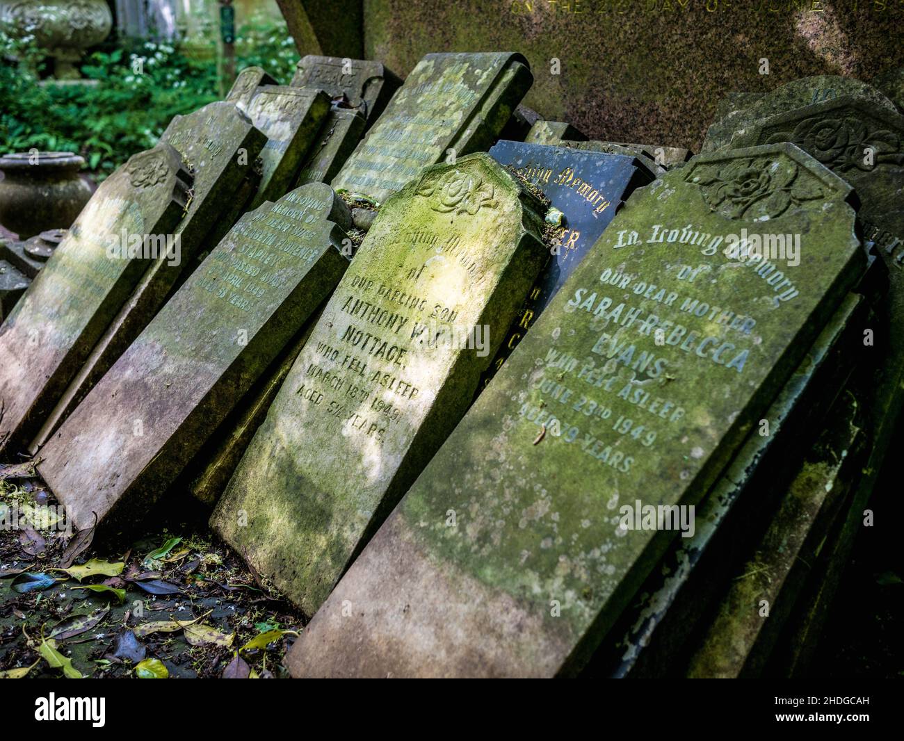 Una pila di muschio accatastato copriva pietre commemorative rotte e disusate, nascoste nel sottobosco, prese al cimitero di Abney Park, 21st maggio 2017 Foto Stock