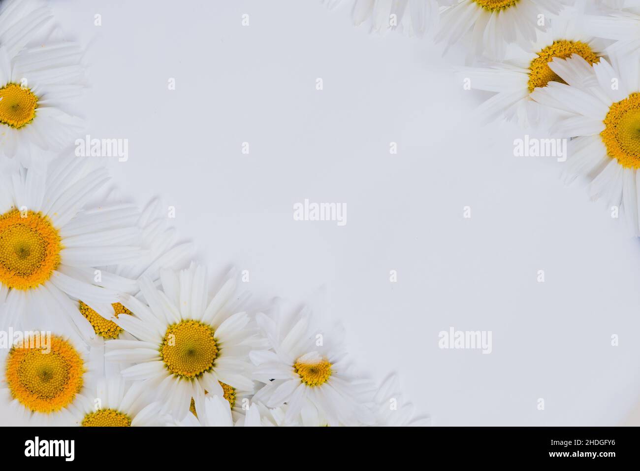 Happy Mother's Day primavera sfondo floreale con spazio per la copia del testo Foto Stock