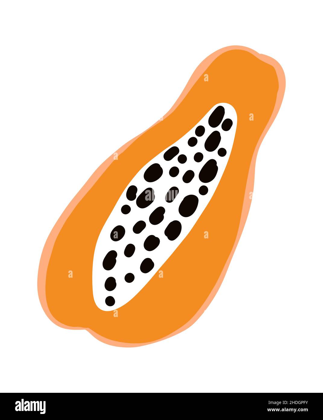 Papaya frutta. Agricoltura di doodle tropicale. Vettore esotico cibo icona Illustrazione Vettoriale