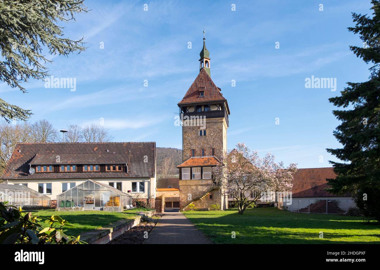 geilweilerhof, istituto di allevamento della vite Foto Stock