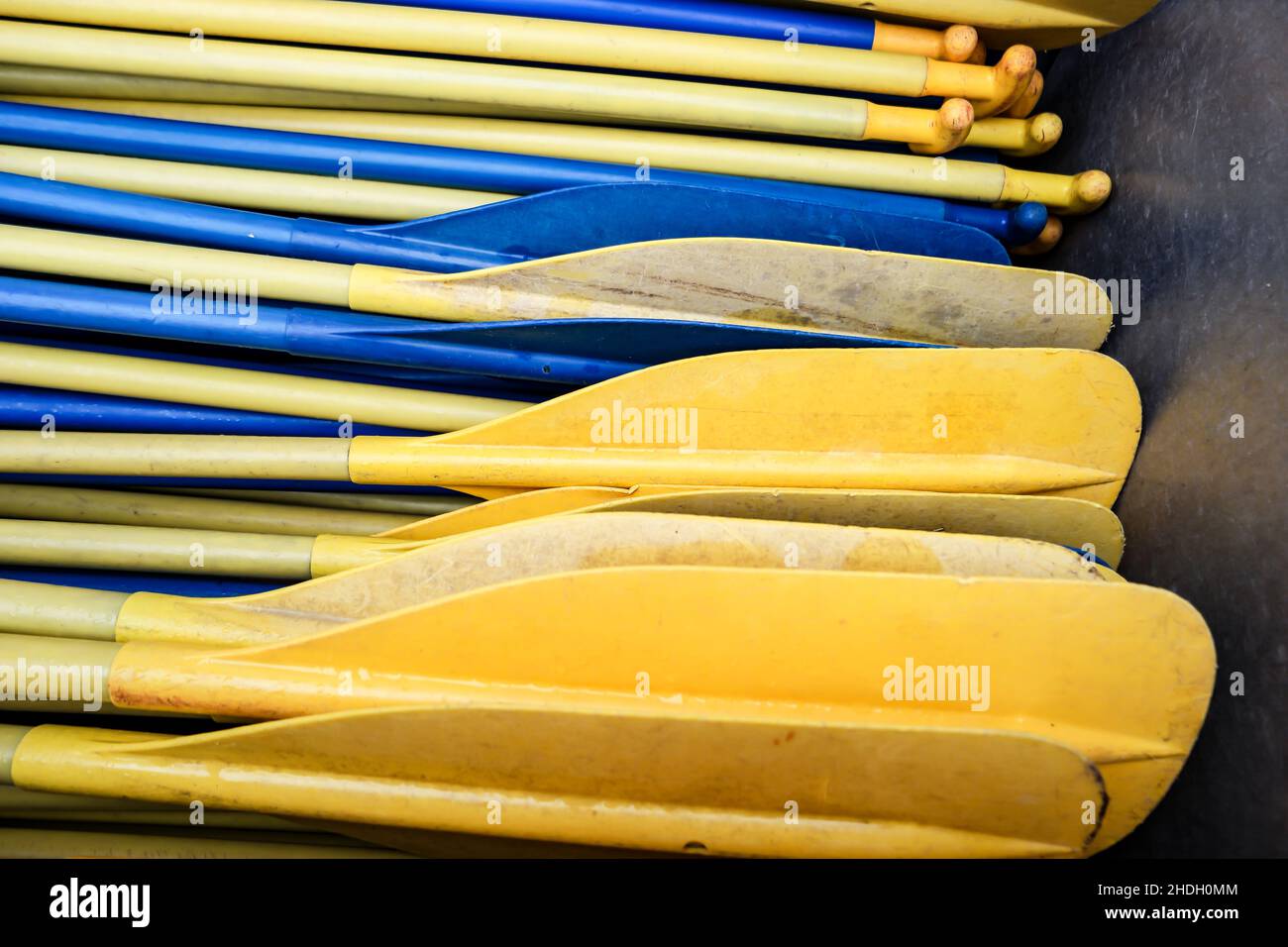 Paddle Foto Stock