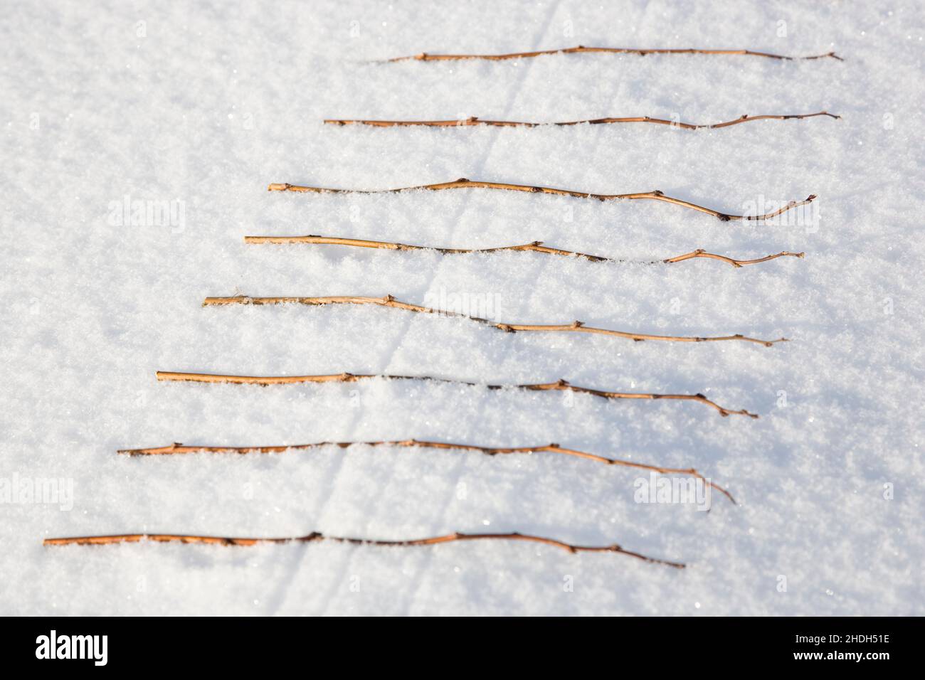 colori e forme, inverno, arte naturale, colori e forme, inverno Foto Stock