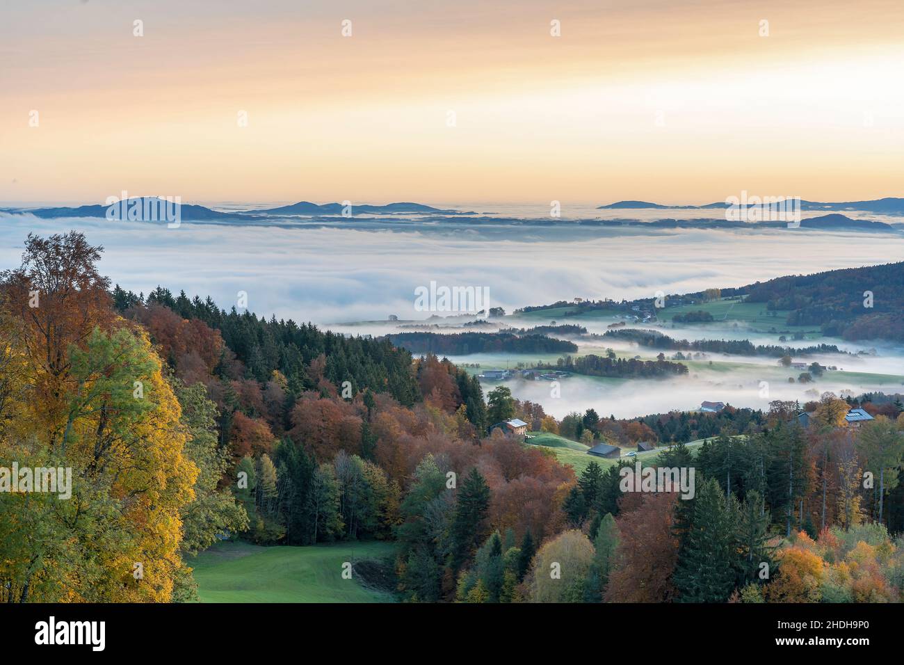 nebbia, umore del mattino, berchtesgadener terra, nebbia, umore del mattino, berchtesgadener terre Foto Stock