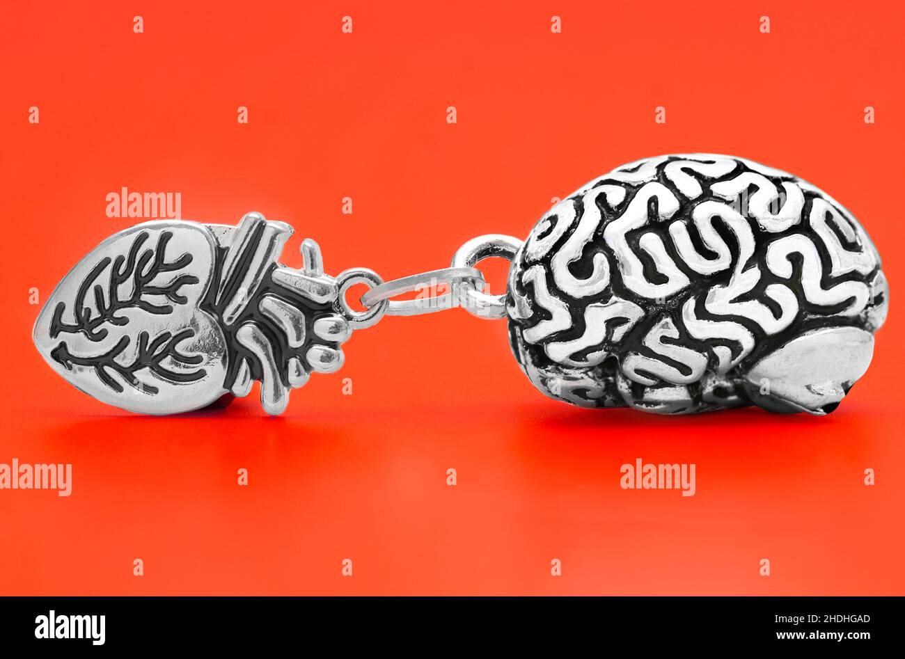 Cervello e cuore umani collegati insieme con un anello a catena su rosso. Emozioni e concetto di mente. Foto Stock