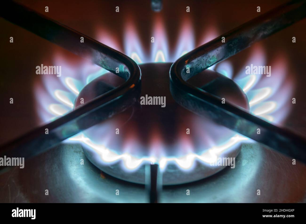 Bruciatore a gas fornello stufa con una fiamma blu e rossa che è un combustibile fossile non verde che causa il riscaldamento globale e danni ambientali, primo piano stock pho Foto Stock