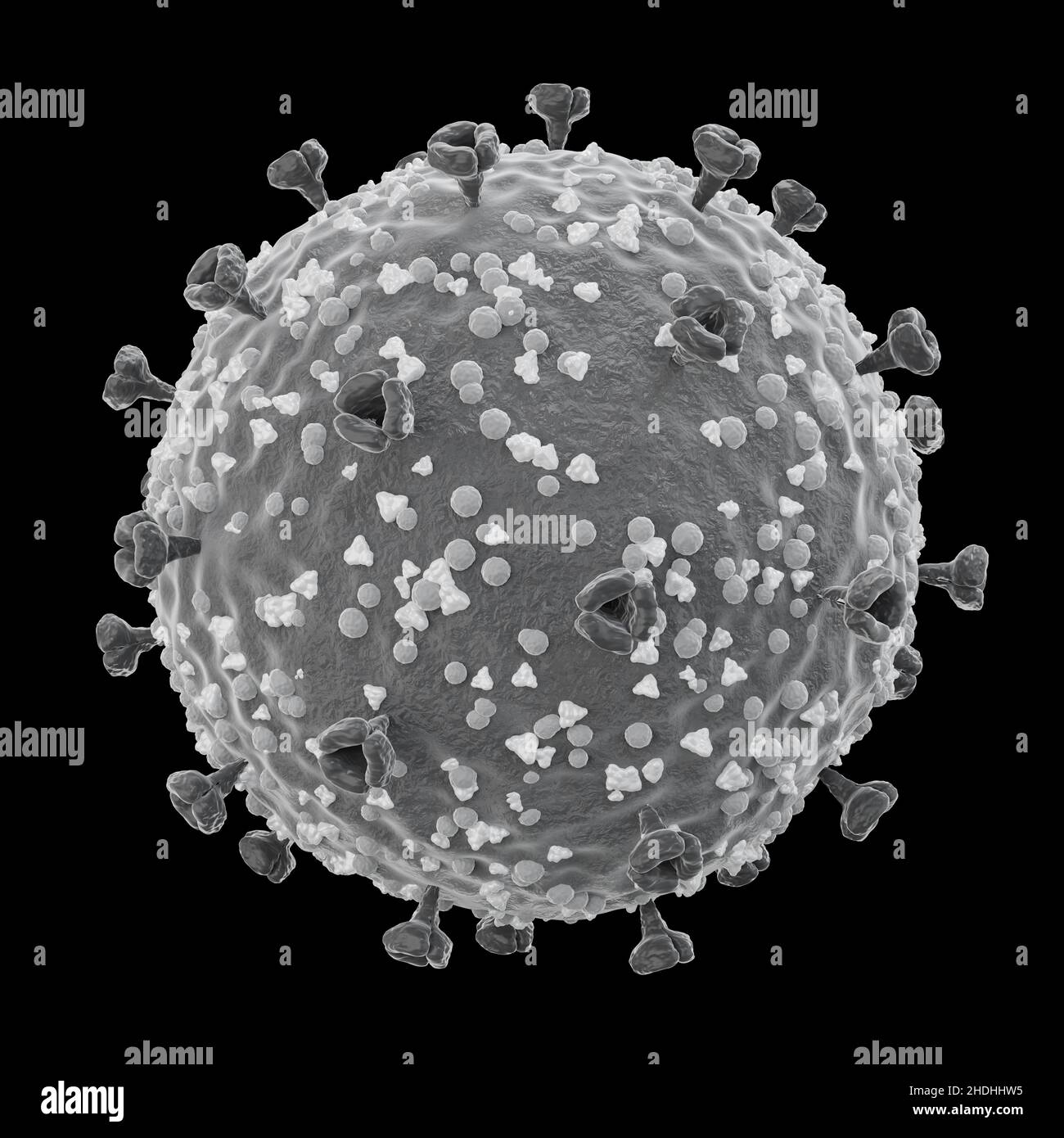 COVID-19 . Struttura del virus corona . La glicoproteina di Spike e la proteina di involucro e la proteina di membrana. Texture dettagliata fine . Colore bianco e nero . Foto Stock