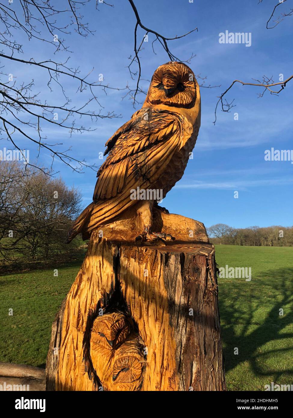 Una scultura in legno di un gufo su un vecchio tronco di albero Foto Stock