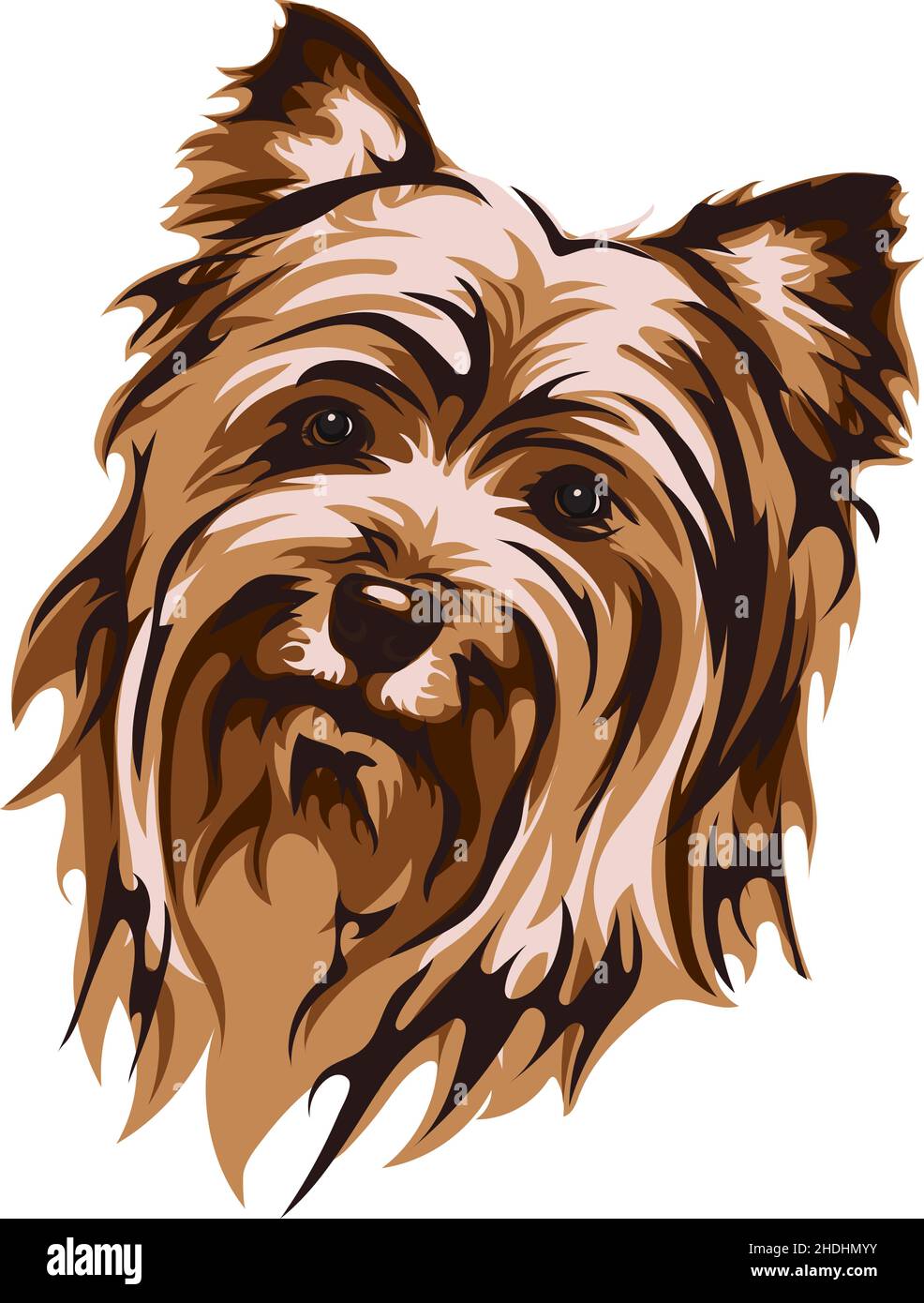 Immagine vettoriale di un muso di un cane, Yorkshire Terrier, illustrazione vettoriale per l'uso in loghi, segni, marchi, per il design e la pubblicità Illustrazione Vettoriale