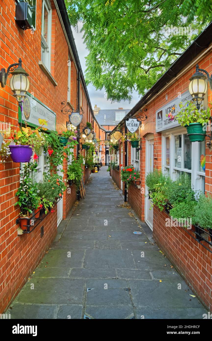 Regno Unito, Somerset, Glastonbury, The Gauntlet Shopping purosangue Foto Stock