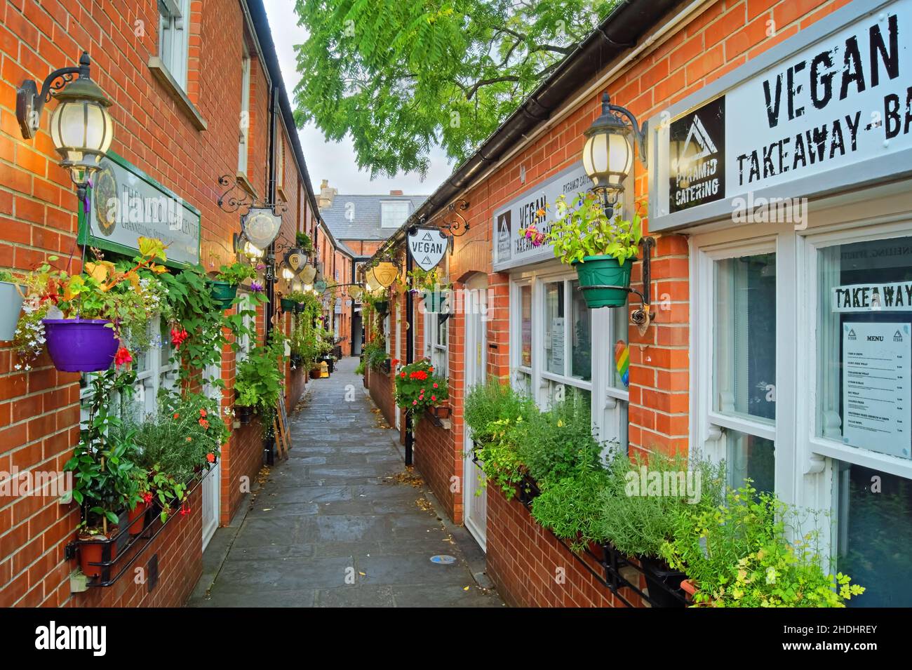 Regno Unito, Somerset, Glastonbury, The Gauntlet Shopping purosangue Foto Stock