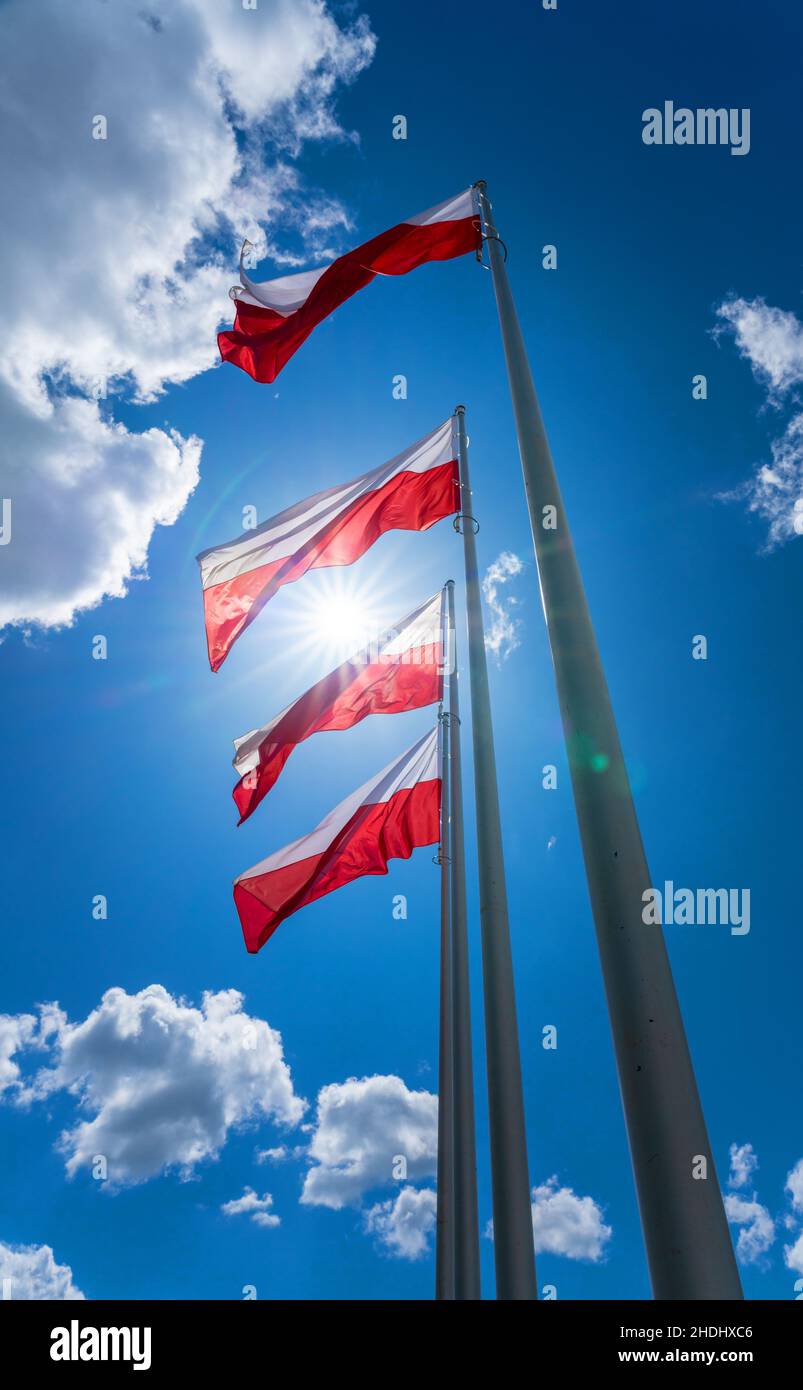 bandiera, bandiera, polonia, flagpoli, polands Foto Stock