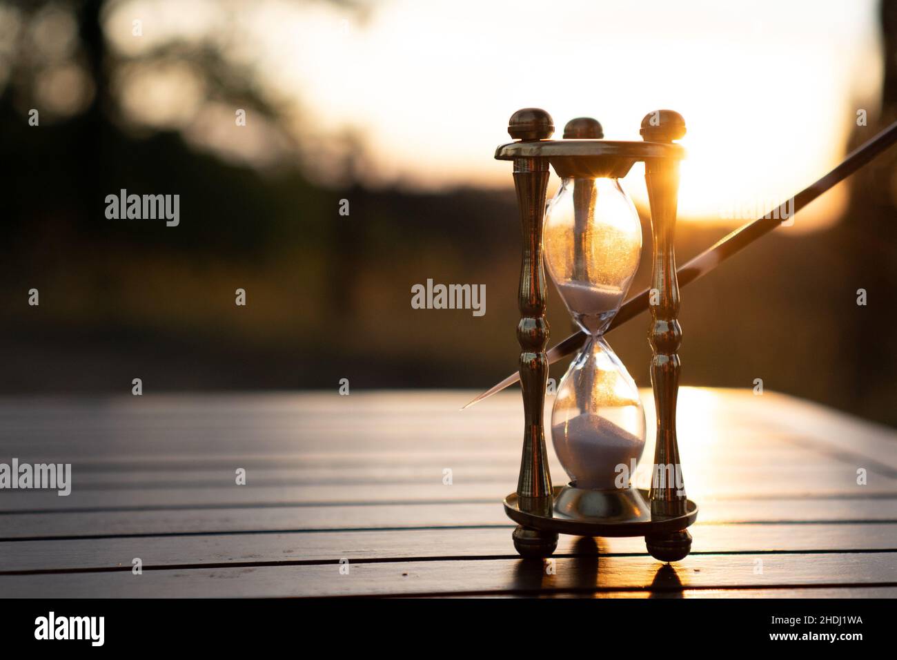 Clessidra con spine di porcopina Foto Stock