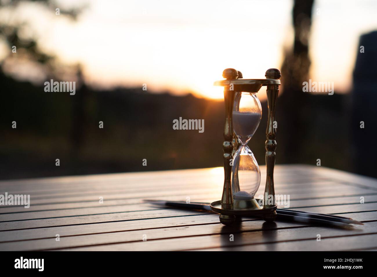 Clessidra con spine di porcopina Foto Stock