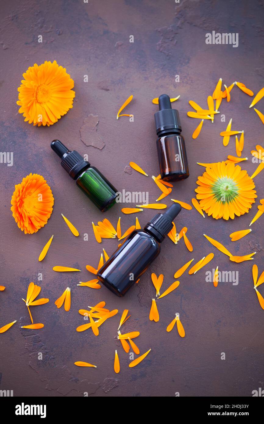 calendula, olio per massaggi, olio per aromaterapia, calendulas, oli per massaggi, oli aromatherapy Foto Stock