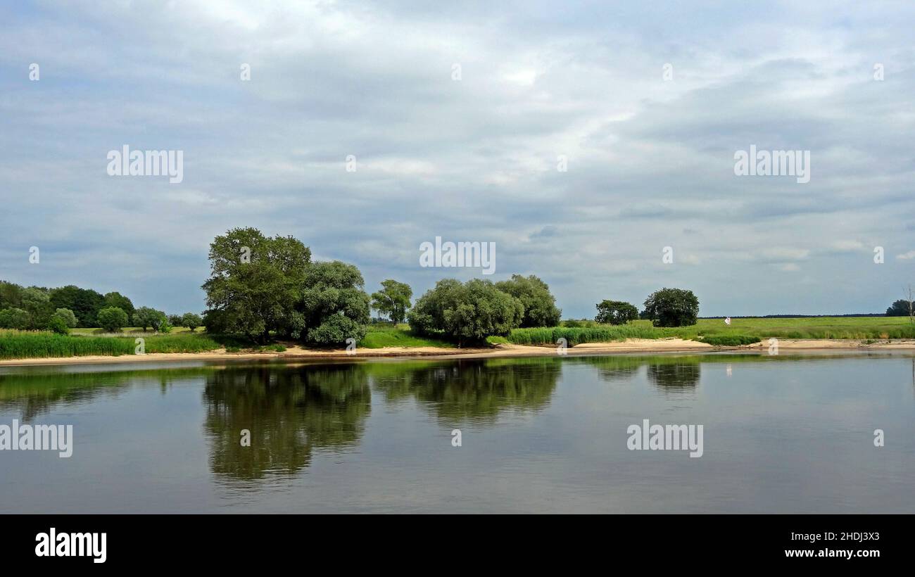 prati lungo il fiume, elbauen, elbwiesen, elbauens, elbwiesens Foto Stock