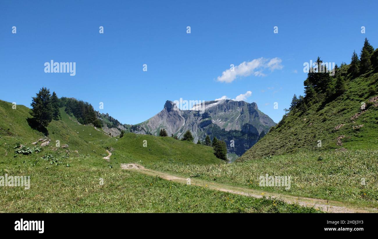 alpi bernesi, schynige platte, schynige platte Foto Stock