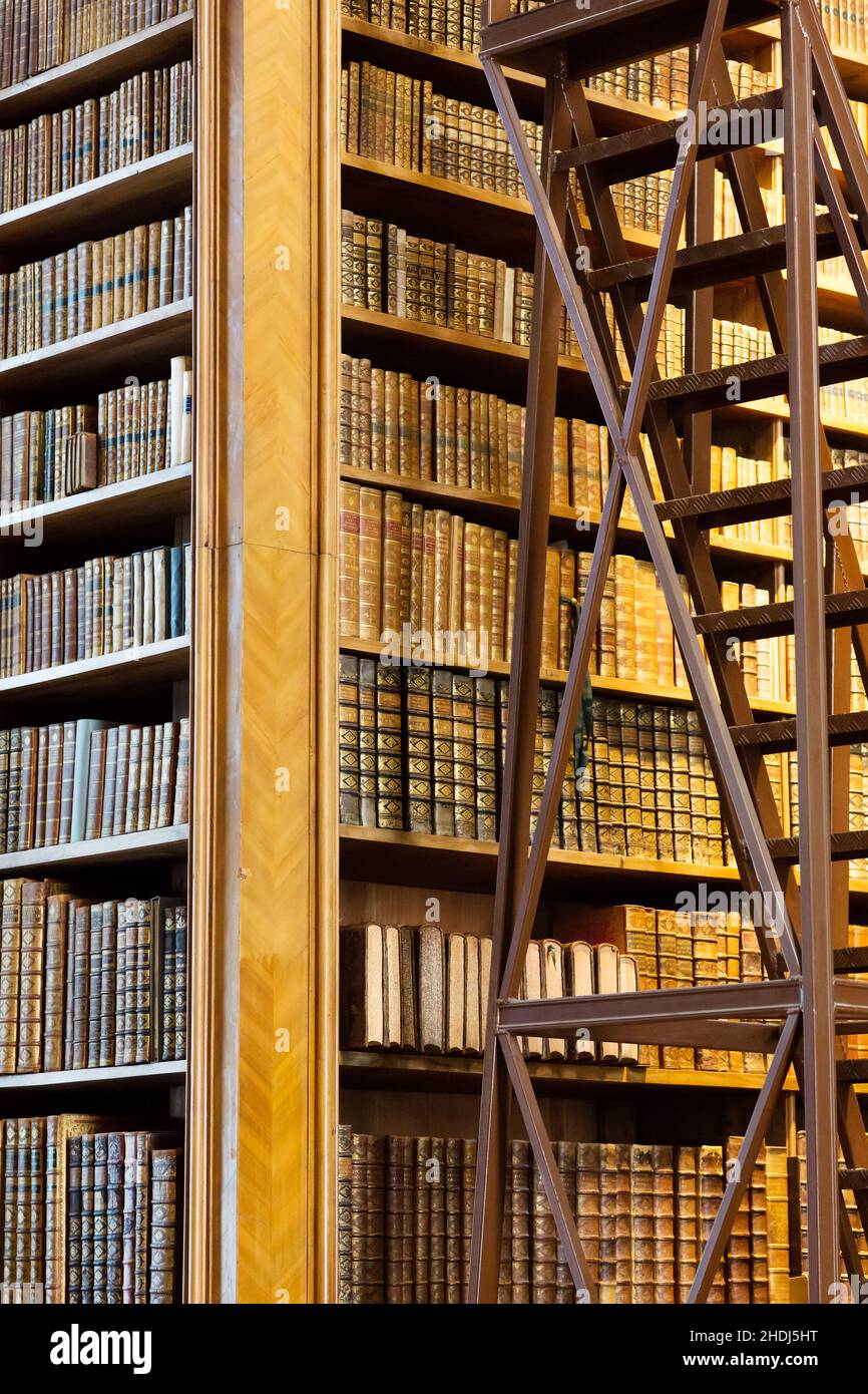 scaffale per libri, biblioteca, antiquario, scaffali per libri, scaffale, scaffali, vetrine, libreria, librerie, librerie, biblioteche, antiquari Foto Stock