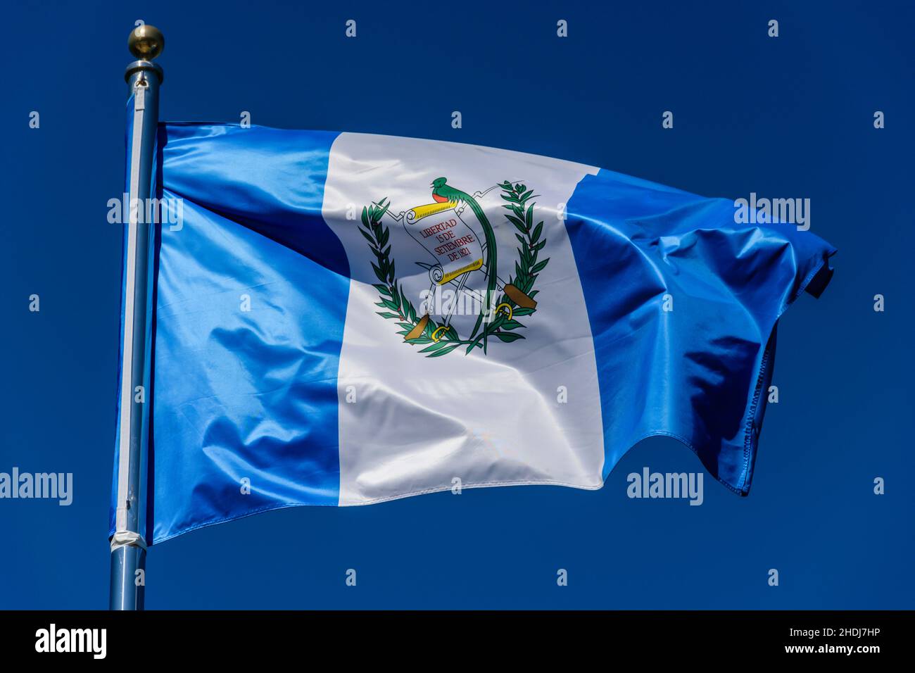 Bandiera del Guatemala su sfondo blu Foto Stock