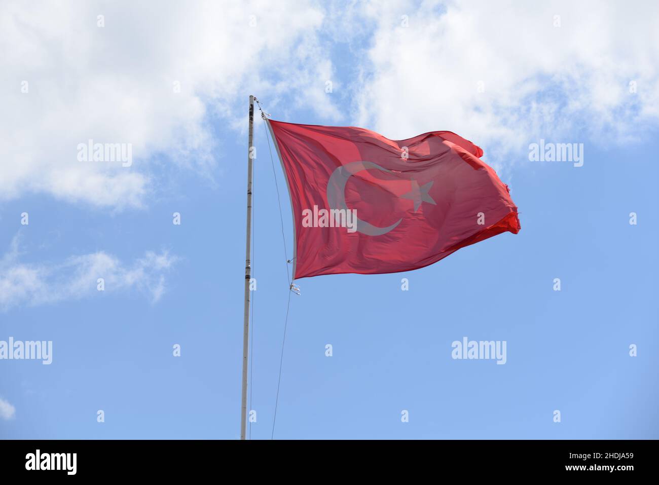 turchia, bandiera turca, tacchini Foto Stock