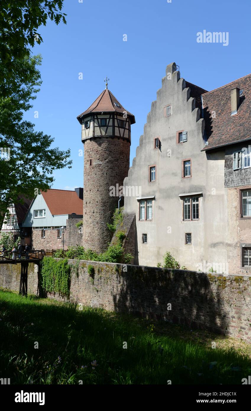 castello, michelstadt, diebsturm, castelli, michelstadts Foto Stock