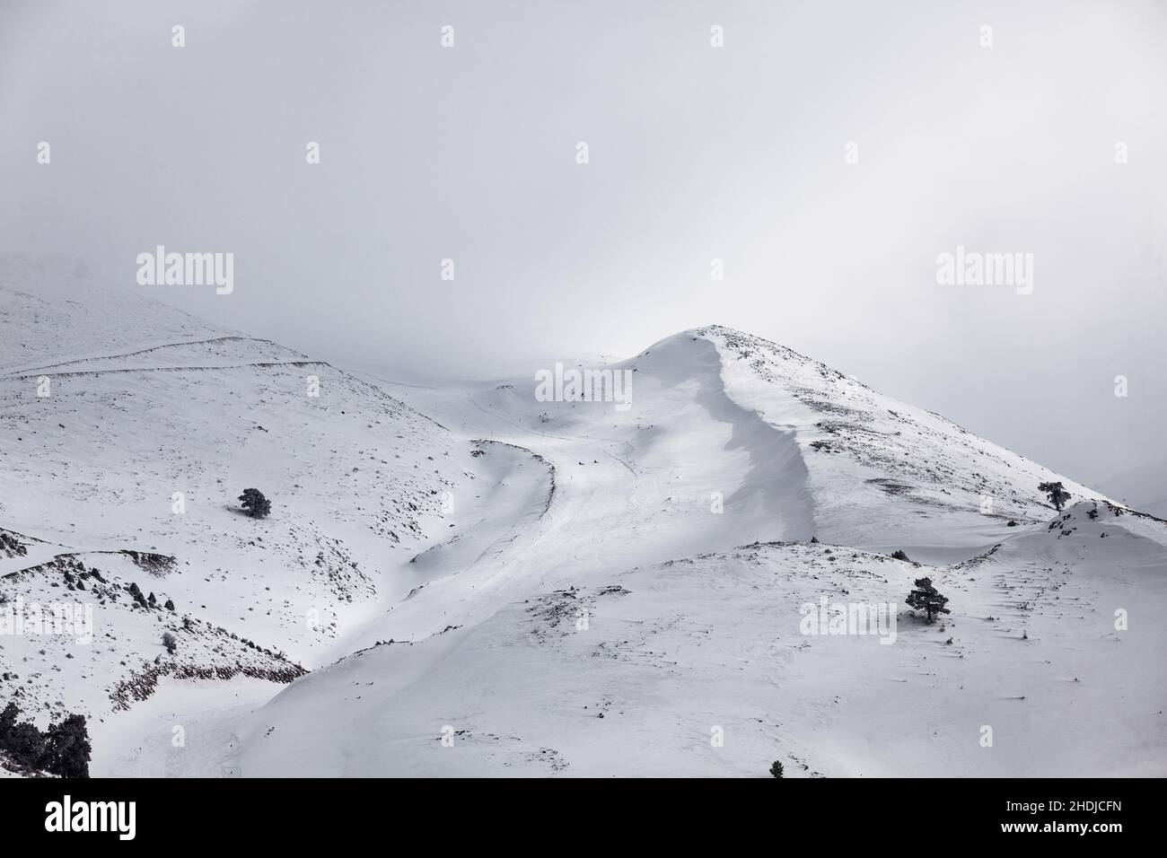 Pista da sci con traccia da sci e snowboard in inverno, foto orizzontale Foto Stock